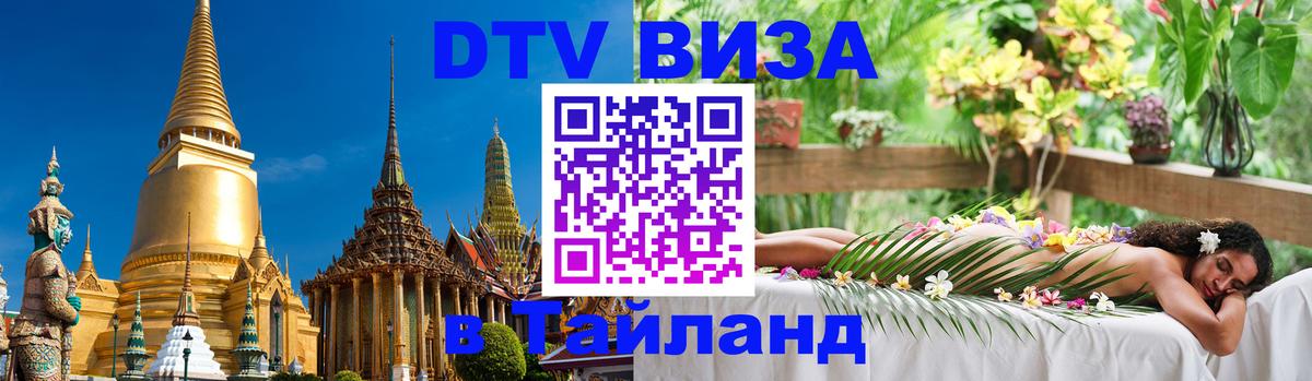 Сколько стоит DTV виза — актуальные цены, оформление даже без документов - 10.01.2026 